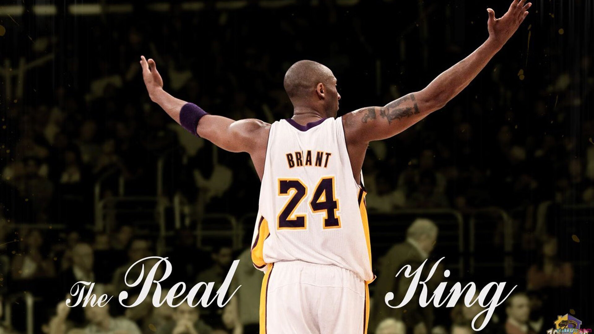 世界杯惊天逆转:奇迹瞬间点燃全场!,世界杯的惊喜